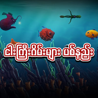 ငါးပစ်ဂိမ်းကစားနည်း